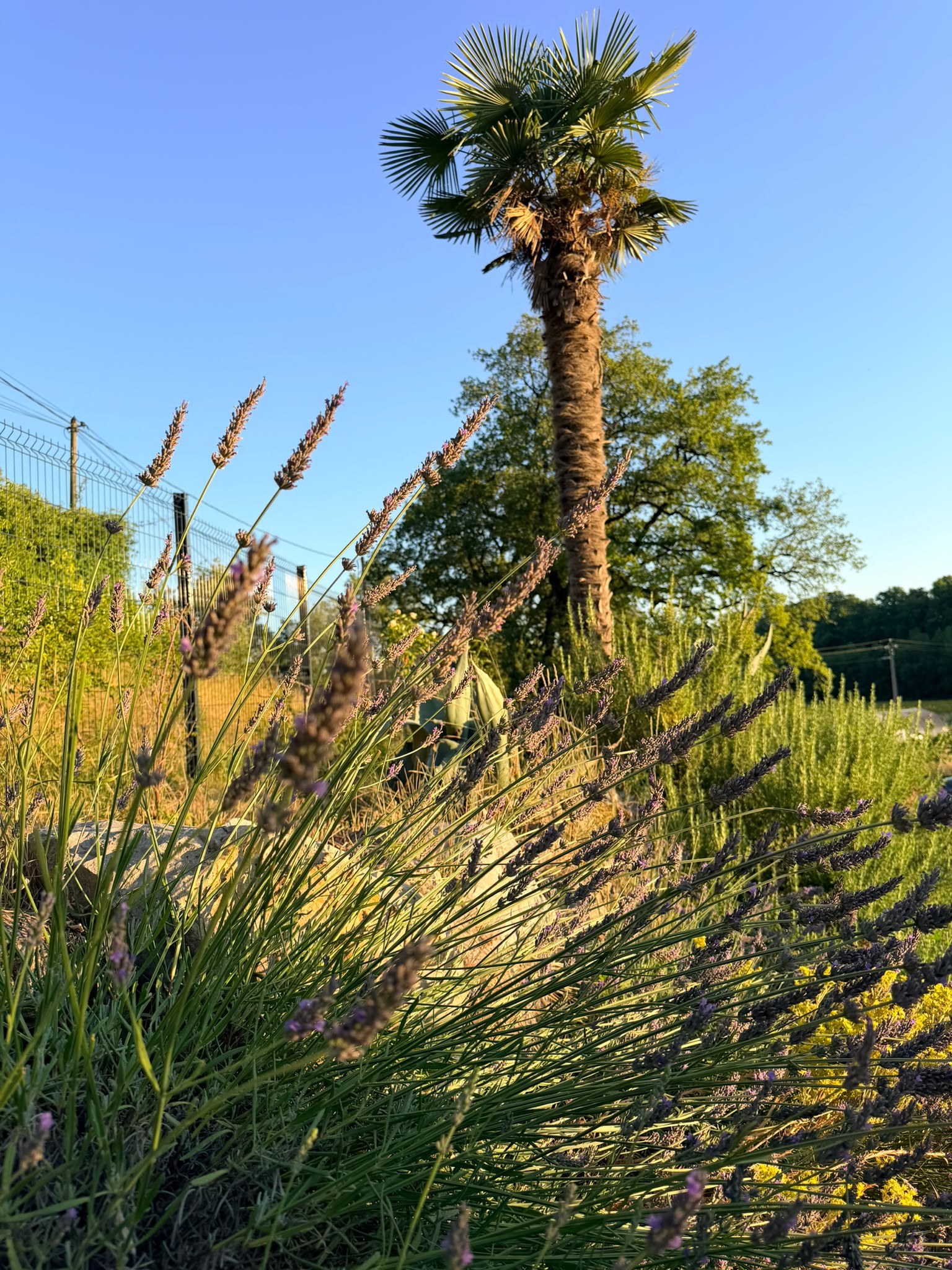 Mas des Landes — Vue extérieure